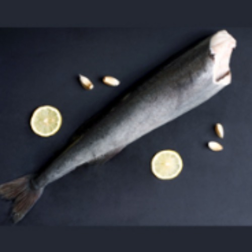 Black Cod H/L Gutted