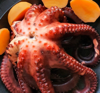 Octopus