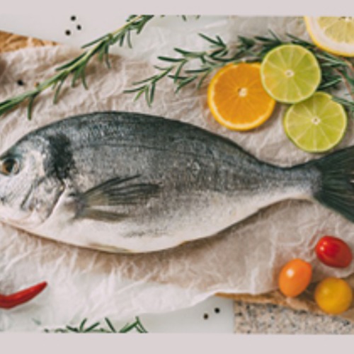 Sea Bream