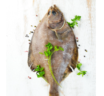 Flounder Whole