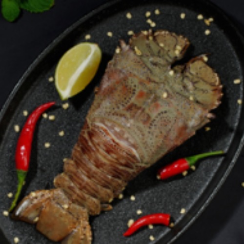 Sand Lobster