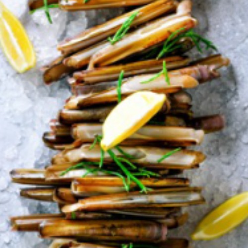 Razor Clams