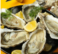 Oysters