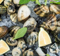 Vongole Clams