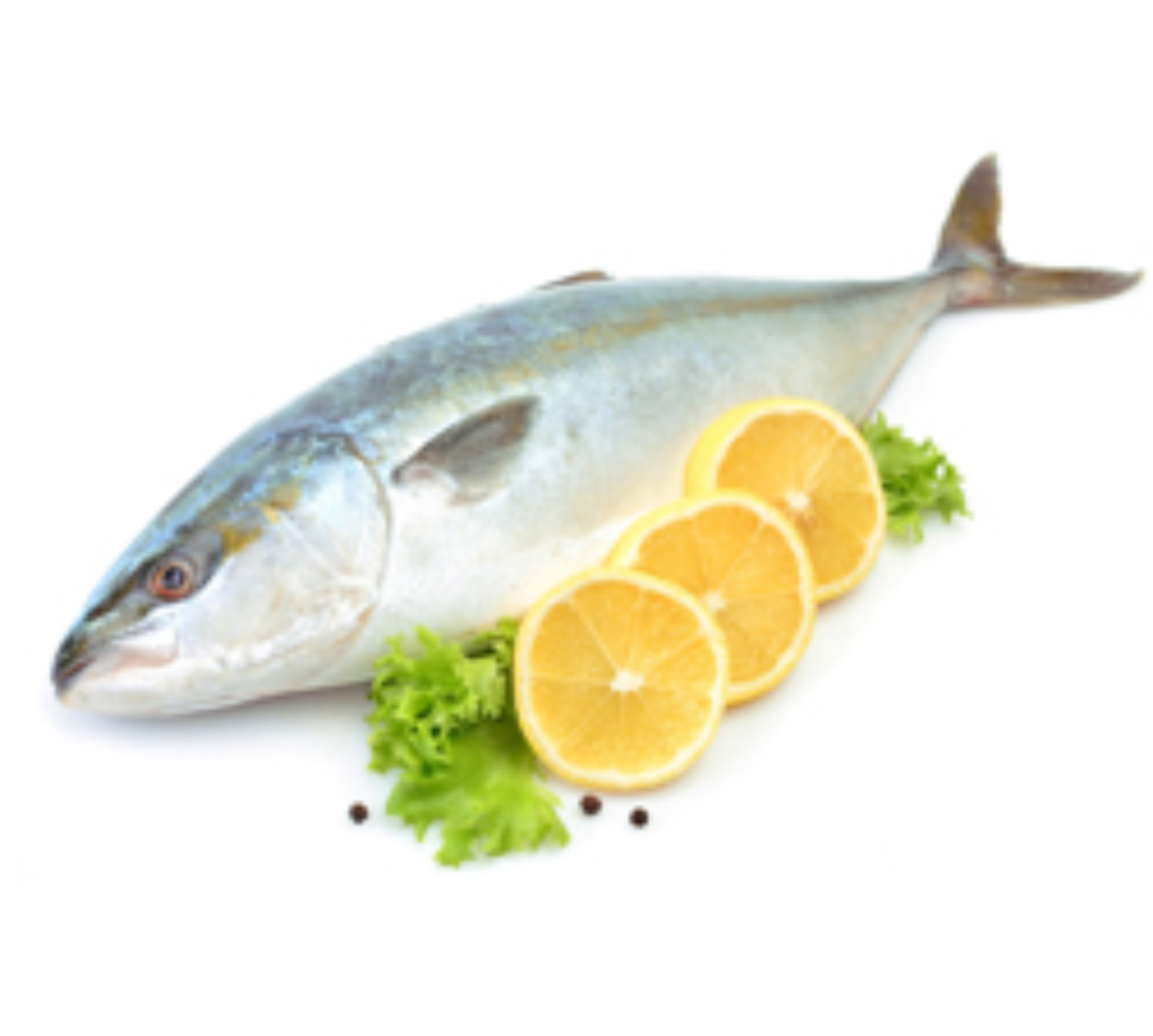 Yellow Tail Hamachi