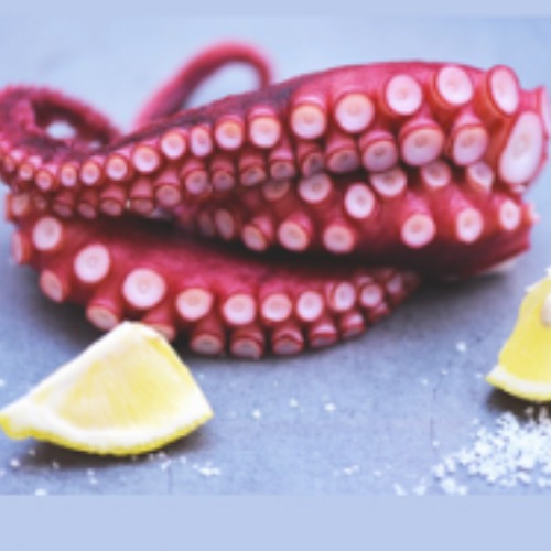 Cooked Octopus Tentacles