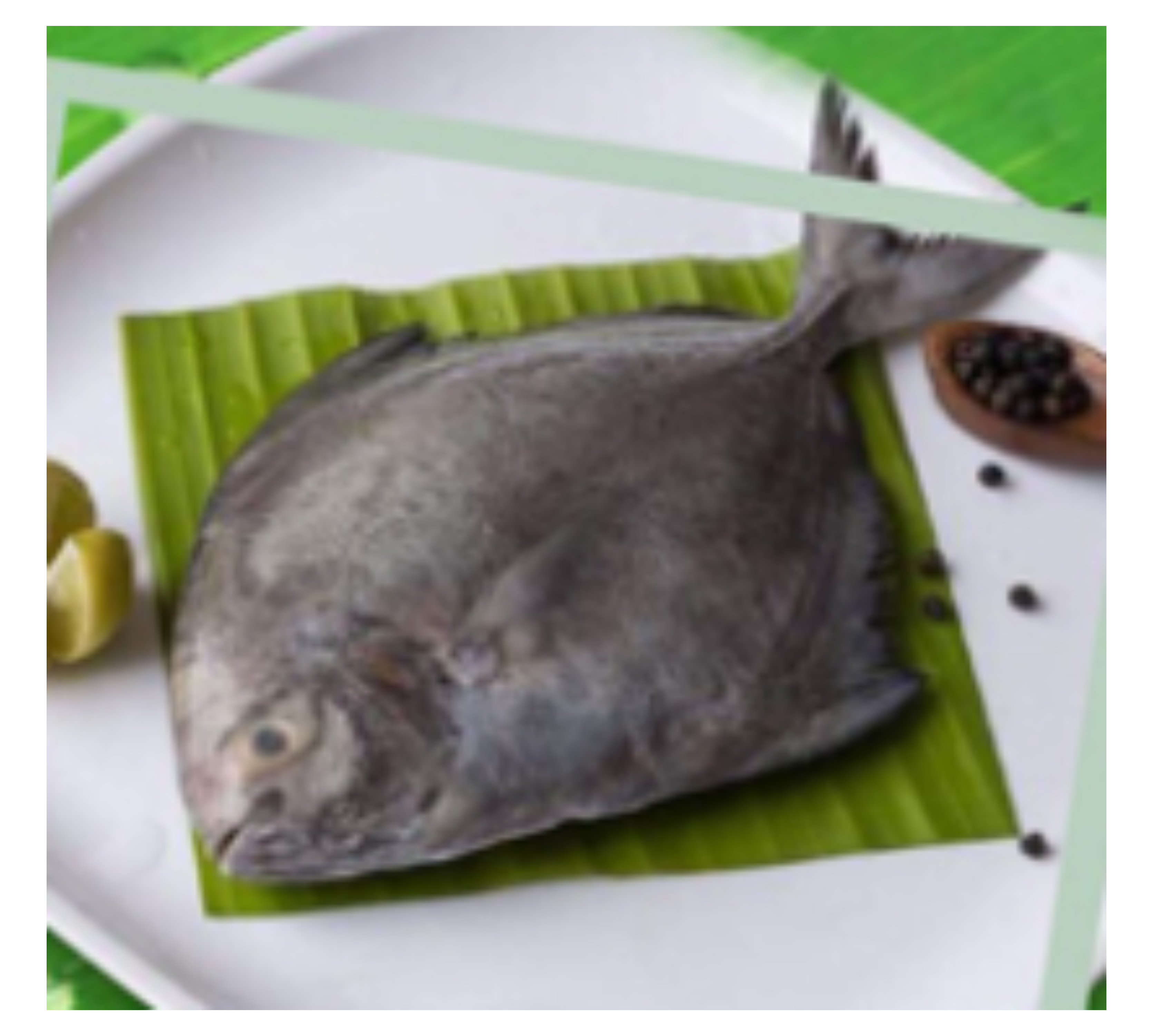 Black Pomfret – Premium Seafood Delivered | Deep Seafood UAE