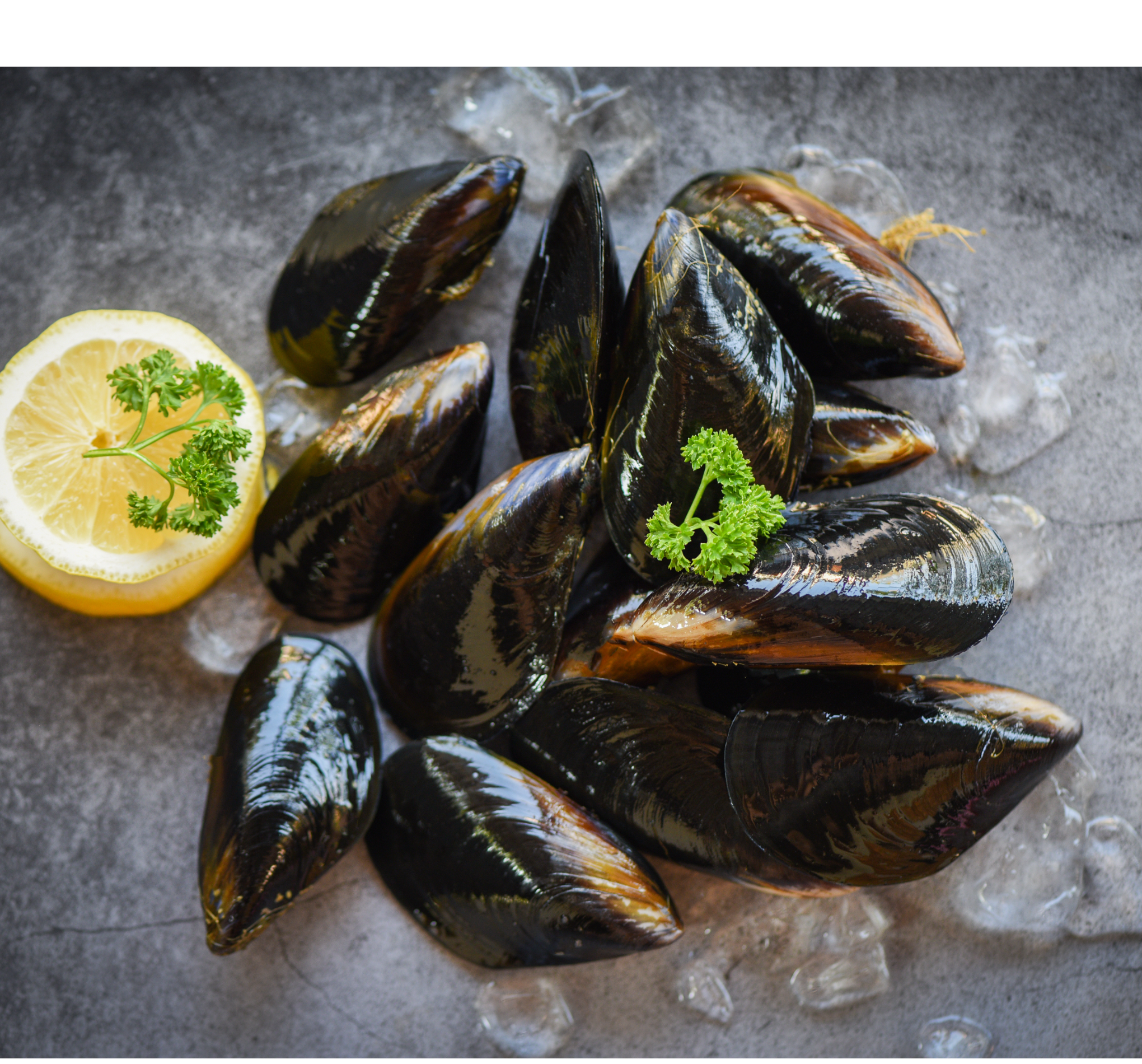 Fresh Mussels – Imported from the Best Sources | Deep Seafood UAE