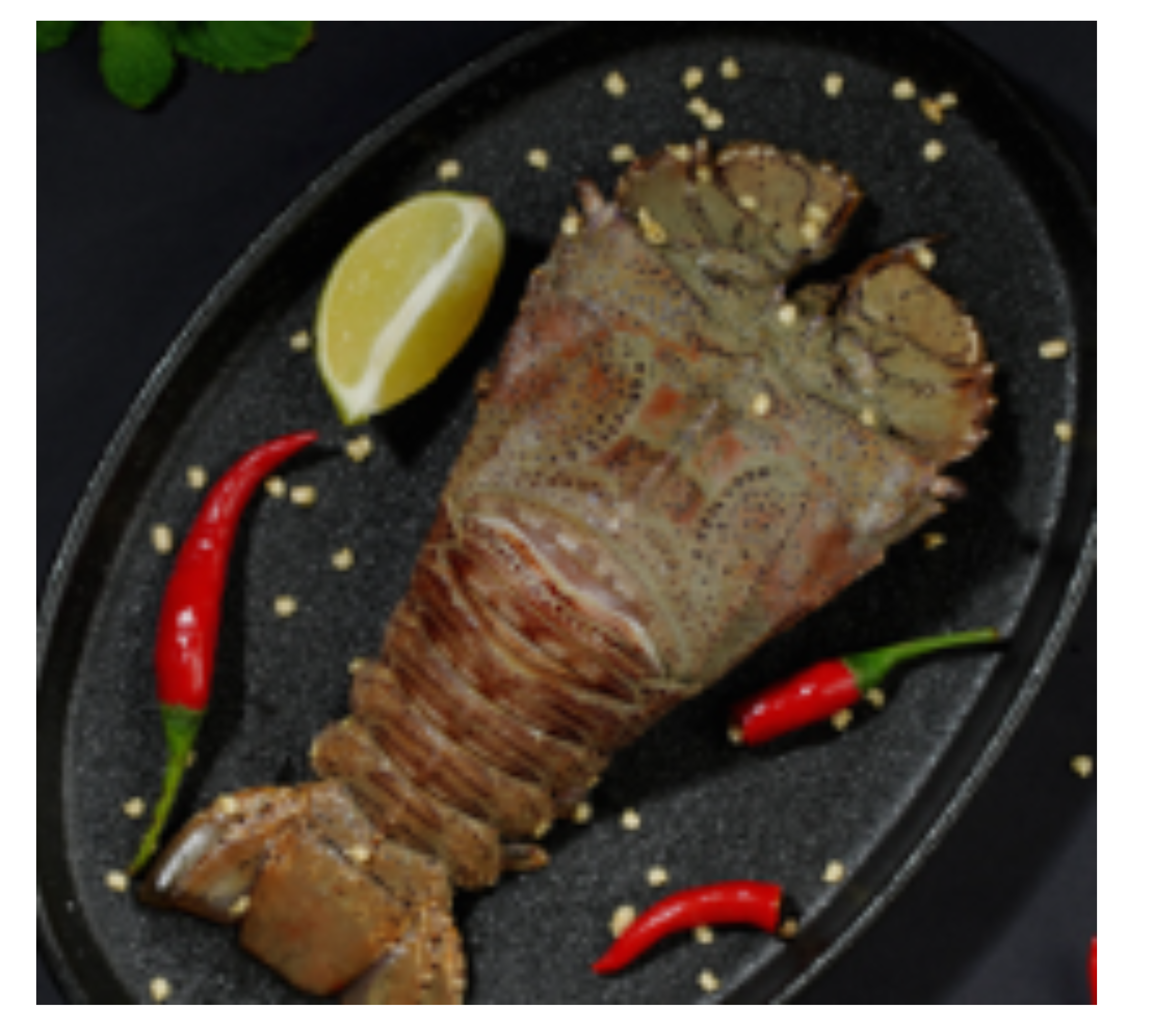 Sand Lobster – Wild-Caught & Fresh | Deep Seafood Company