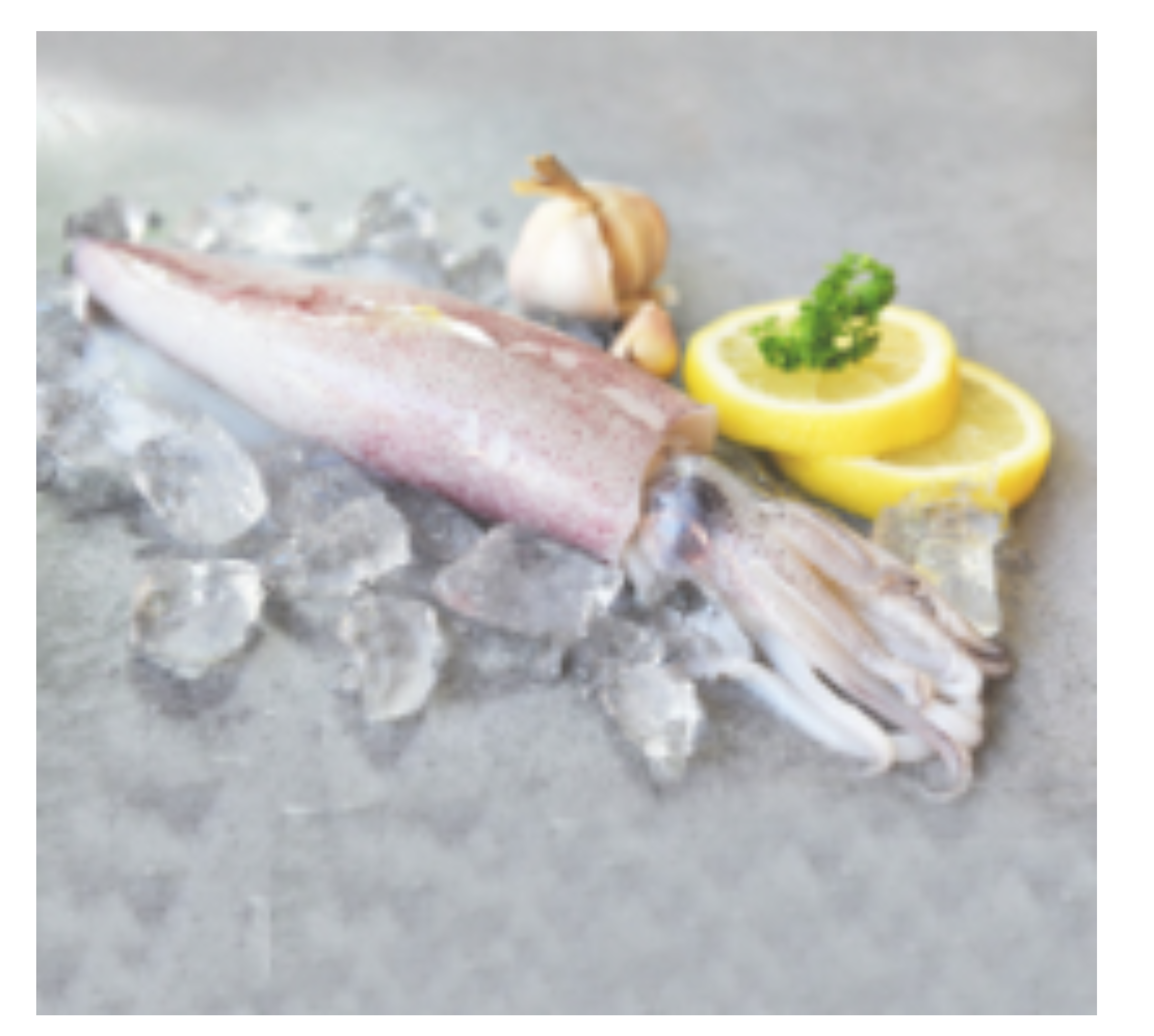 Premium Squid – Fresh & Frozen | Deep Seafood Company UAE